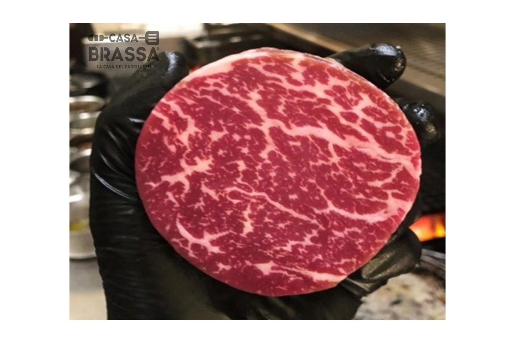 Prime Archivos | Casa Brassa